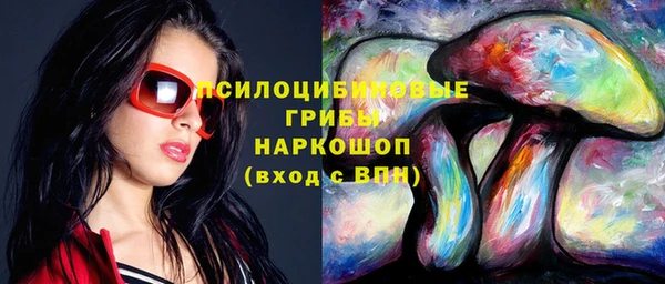 стафф Алексеевка