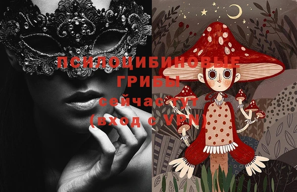стафф Алексеевка
