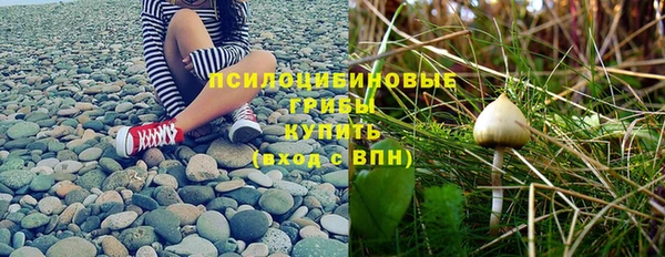 стафф Алексеевка
